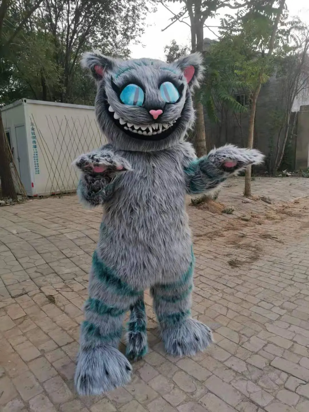 Image réelle un déguisement de mascotte de chat de Cheshire pour la personnalisation de support de fête de carnaval d'halloween