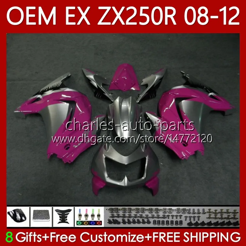 川崎忍者ZX250R ZX 250R ZX250 08-12 BODYWORK ROSE Silvery 81NO.87 EX250 EX250R 08 09 10 11 12 ZX-250R 2008 2009 2011 2012フェアリング