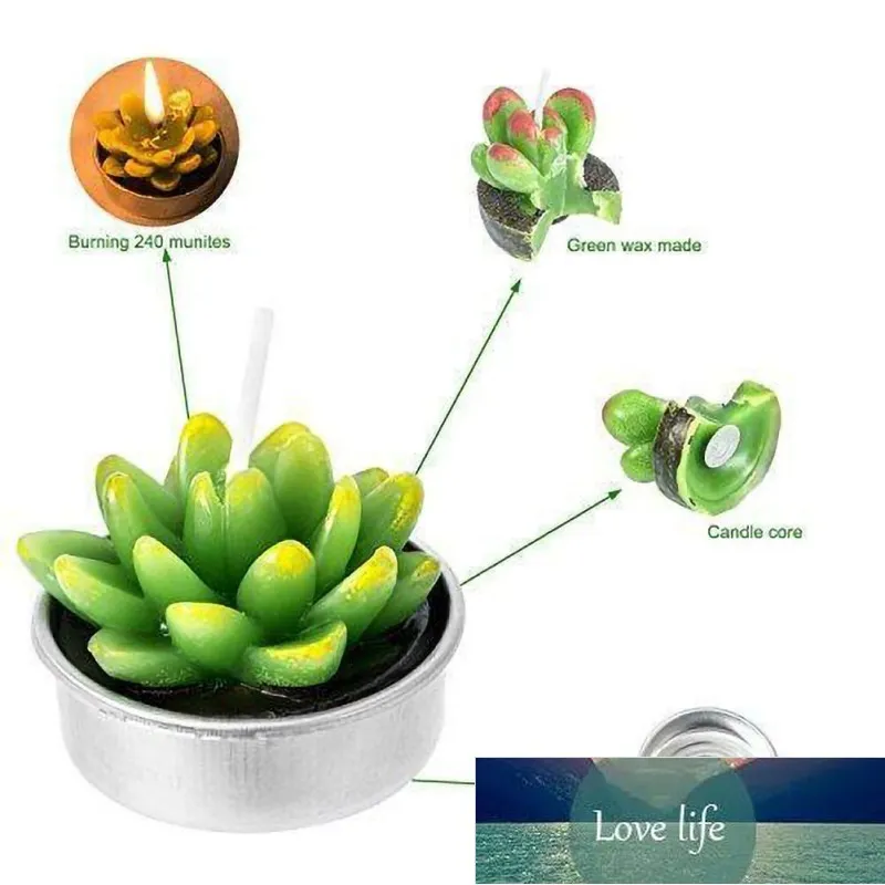 6PCs artificiella succulent växter Cactus Candle för familjekedjor Födelsedagsfest Bröllopsplats Dekorationer Candlelight Feast Factory Price Expert Design