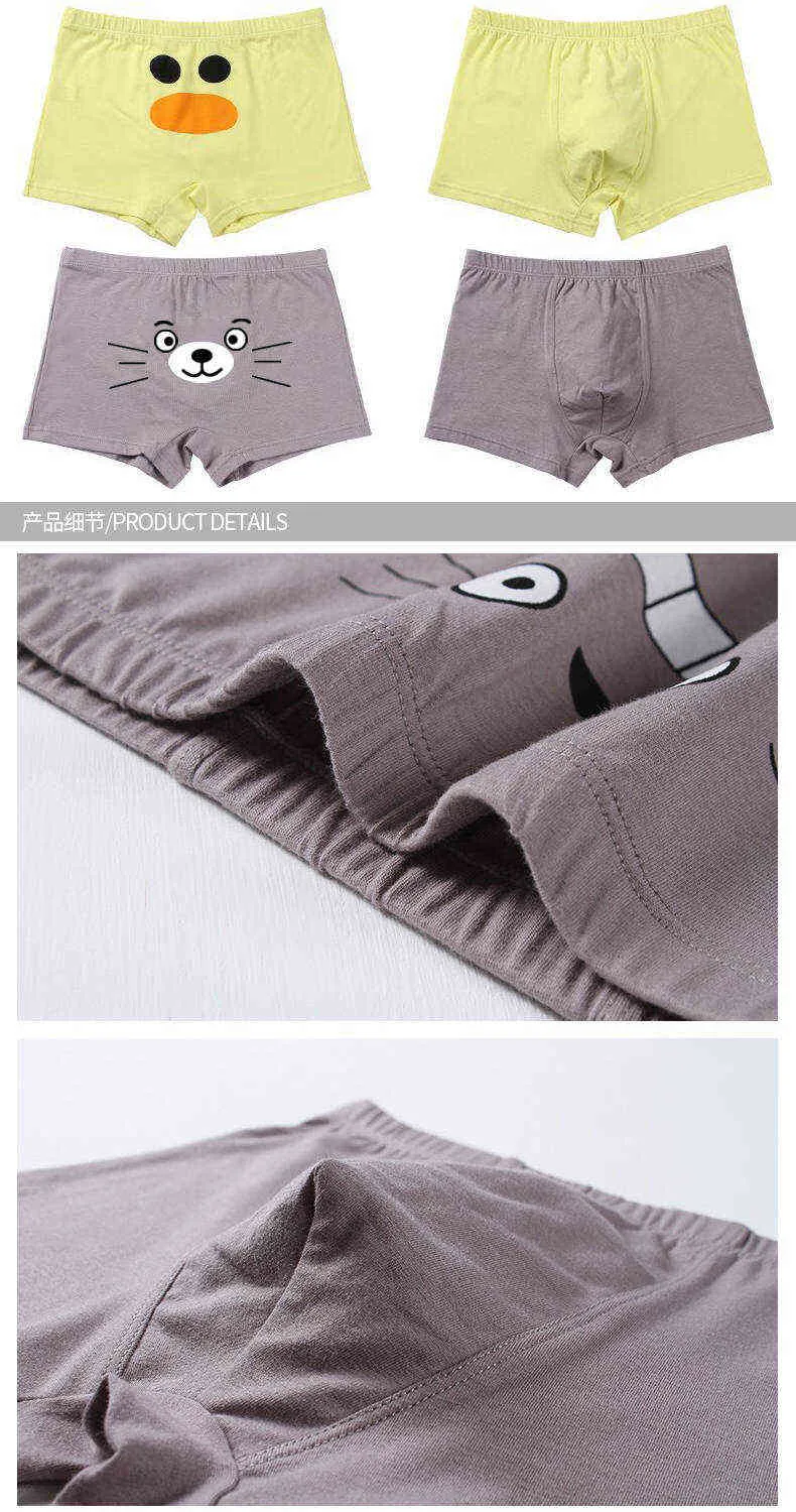 Cartoon Childrens Shorts Kidley Panties For Boys 95 Cotton Boxers For