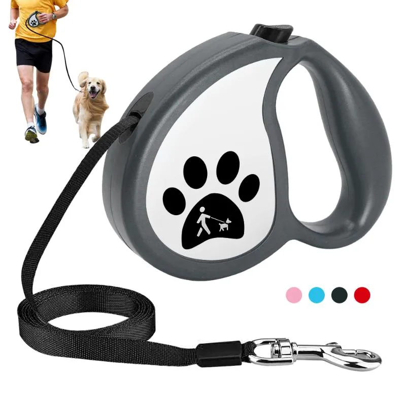 Colliers pour chiens Laisses Laisse rétractable Ruban en nylon 13ft Extending Automatic Pet Leads Ceinture pour petits chiens de taille moyenne Marche Entraînement à la course