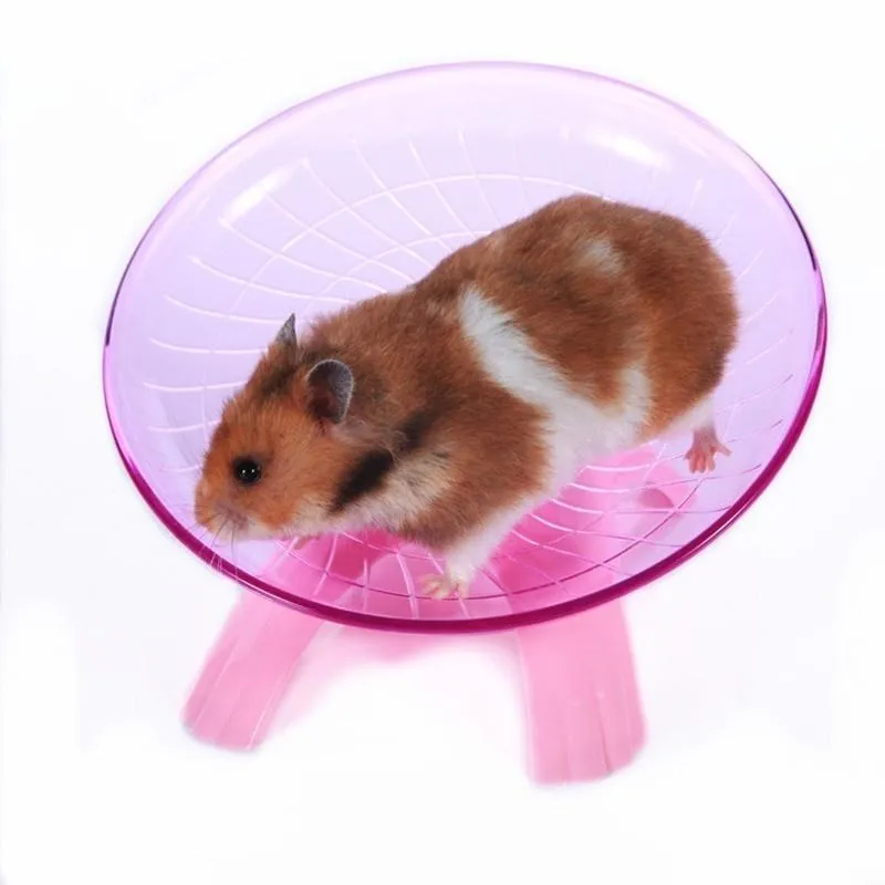 Small Animal Exercise Wheel Flying Saucer Running Disc for