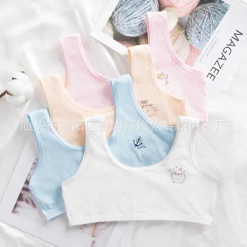 Girl Bra Teen Underwear For Kids Girls Bras Baby Young Hipster Training  Lingerie Vest Cotton Children 8 16Years Summer 1037 Y2 From Babyhouse2020,  $1.1