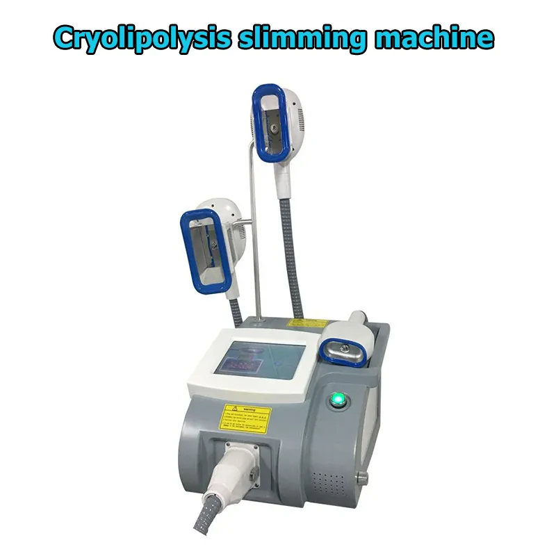 Newest spa home use fat freezing cryolipolysis machine with one handle