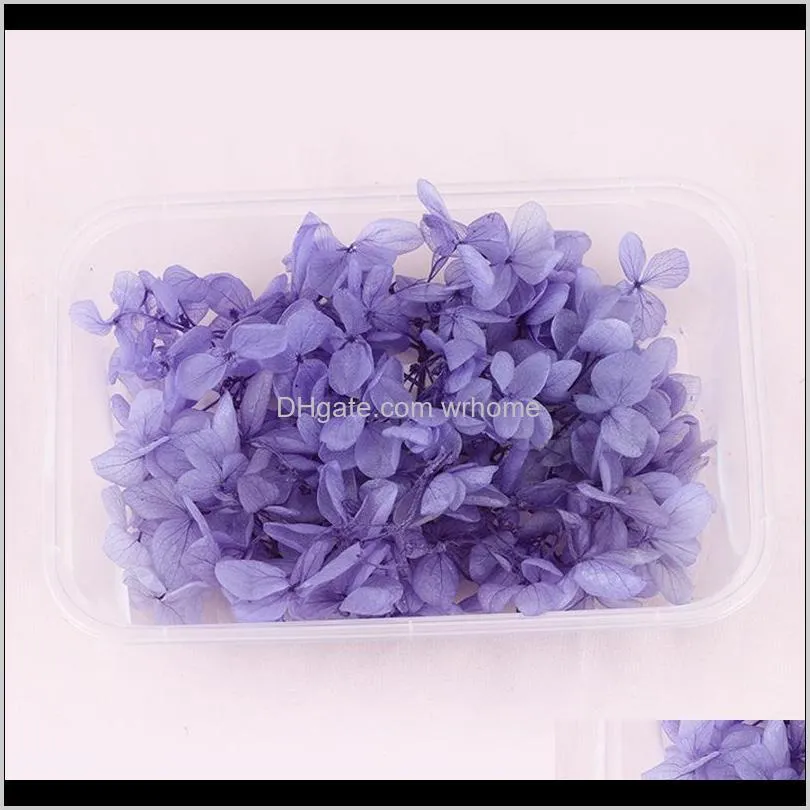 LuanQI 1Box Real Dried Flower Eternal Small Leaves Hydrangea DIY Flowers Natural Bouquet Wedding Accessories Decorative & Wreat