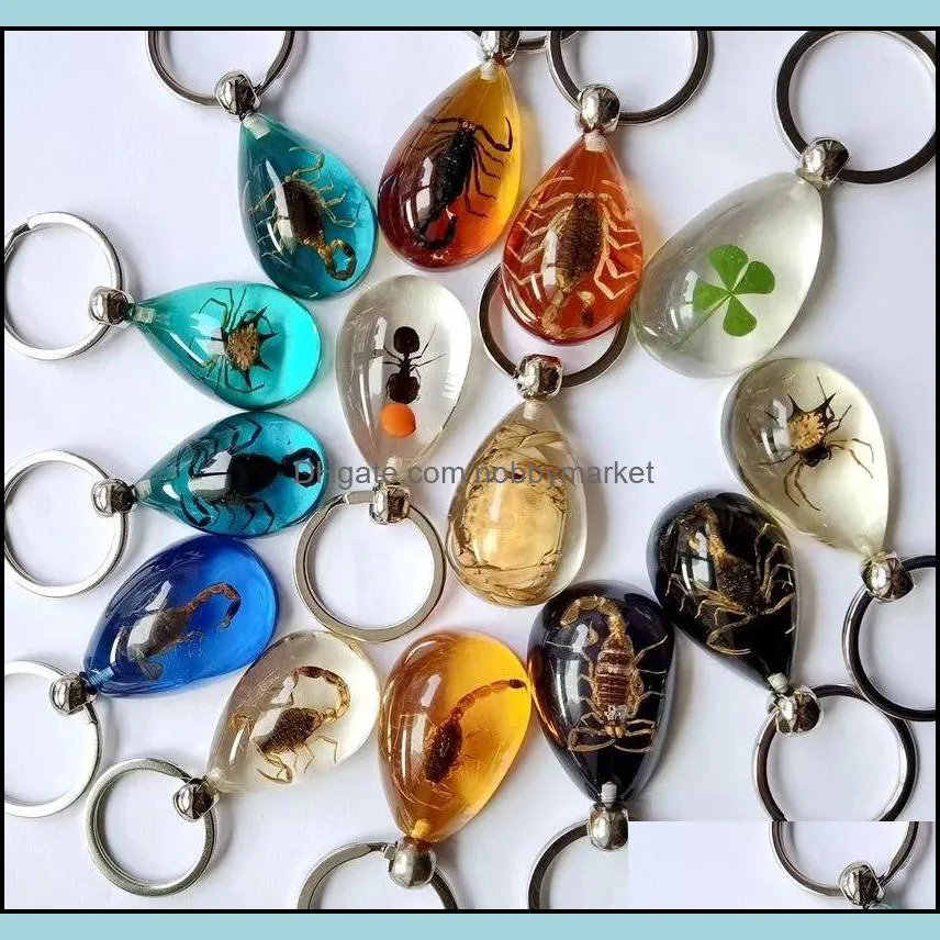 15 pcs real scorpion spider crab ant four leaf clover drop shaped amber resin keychain taxidermy oddity insect encased