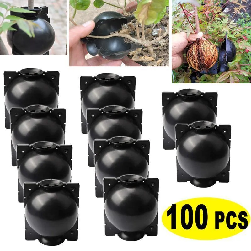 Planters & Pots 100pcs Plant Grafting Rooting Ball Breeding Case Growing Box Root Device High Pressure Propagation Balls For