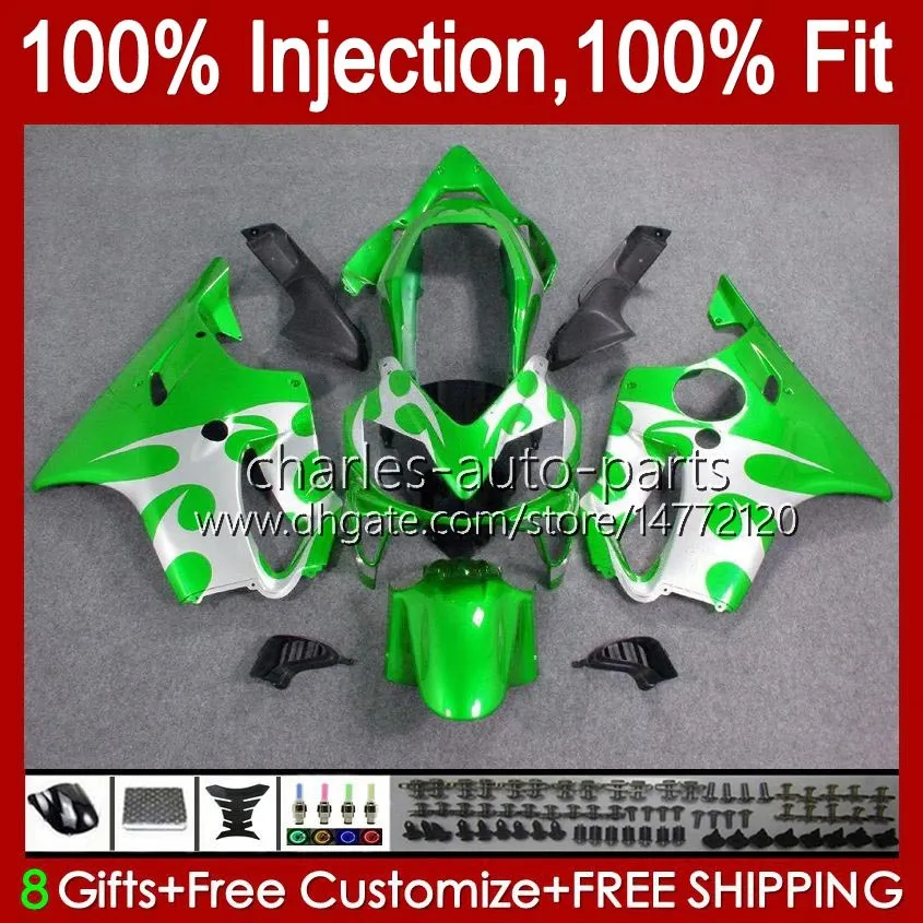 Injection mold Fairings For HONDA Green white CBR600F4 CBR 600 F4 FS CC 600F4 99 00 Bodywork 54No.71 CBR600 F4 CBR600FS 1999 2000 600CC 1999-2000 OEM Body Kit 100% Fit