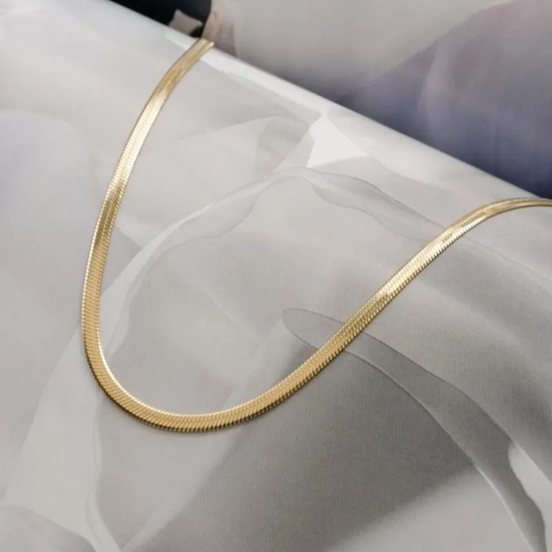 Catena in osso di serpente in acciaio inossidabile Collana con pesce piatto in oro da 3 mm Collana a spina di pesce Catene Europa e America320l