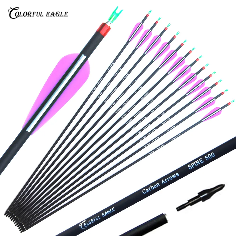 28/29/30/31.5 Inches Spine 500 Carbon Arrows with Replace Arrowhead for Hunting Compound Bow Long Arrow