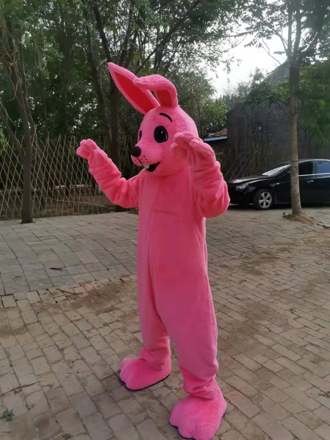 Image réelle costume de mascotte de lapin rose tenue fantaisie robe de soirée de personnage de dessin animé