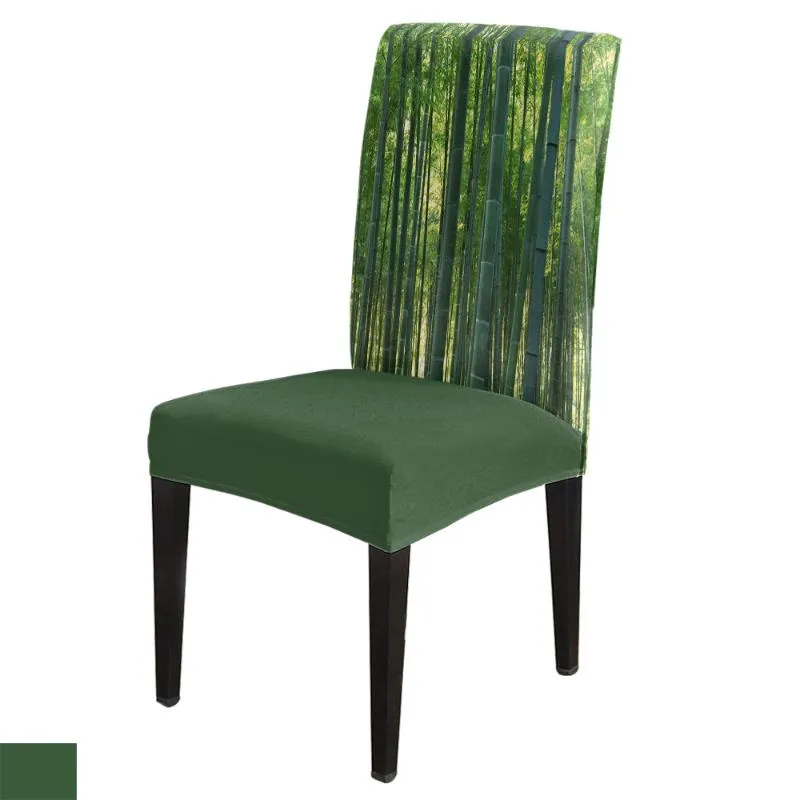 Stuhlabdeckungen Esszimmer Cover Green Bambus Wald Sonnenpflanze Tischstühle für Küche Tischdecke Wohnkultur
