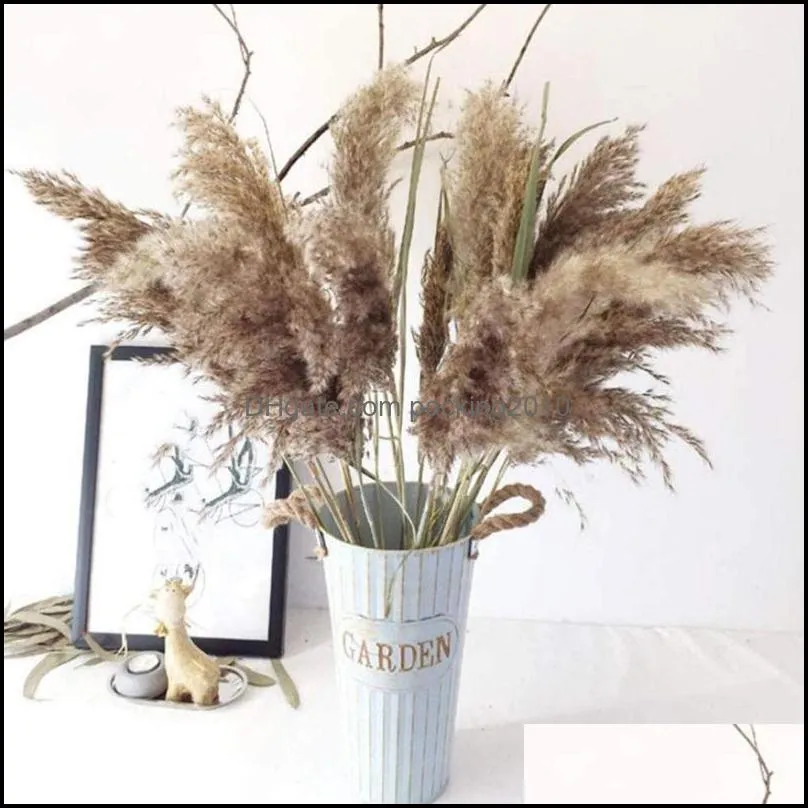 Decorative Flowers & Wreaths 10 Light Color Wedding Bunch Natural Dried Pampas Grass Flower Beautiful Reed Christmas Home Decoration