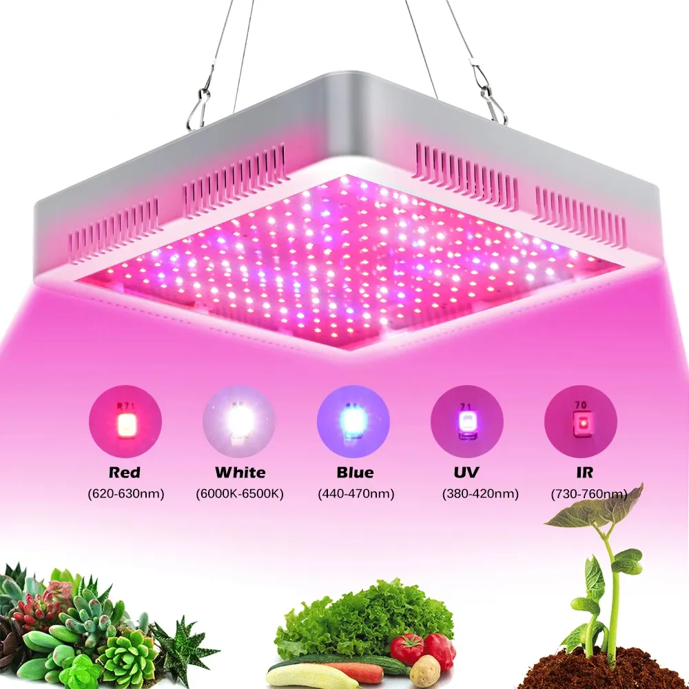 Spettro completo Coltiva la luce 2000W Doppio chip Interruttore singolo per tenda coperta Serre Piante Sistemi idroponici VEG Piantina di fiori da interno