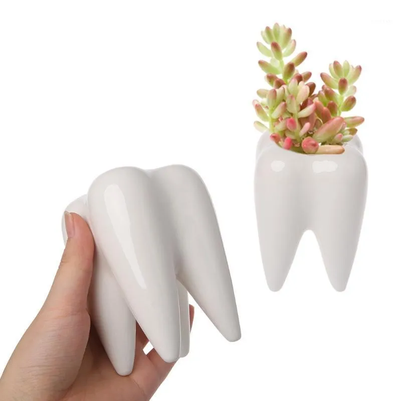 Planters & Pots 2021 Tooth Shape Ceramic Flower Pot Green Succulent Planter Cactus Container Decor