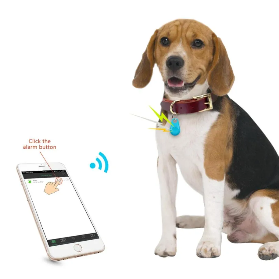 Rastreador GPS inteligente para perros y niños, rastreador de llaves  impermeable, localizador GPS portátil para mascotas, rastreador GPS para