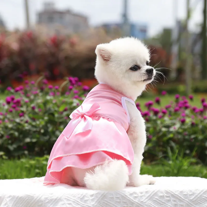 Chihuahua in pink dress cheap
