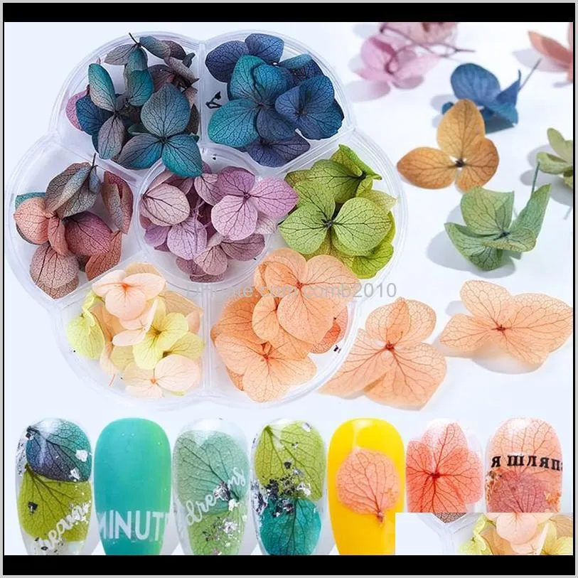 DIY suszone kwiaty żywiczne Formy Formy UV Kwiat Exploxy For Do Nail Art Pressed Flowers for Home Decor Handicraft 0384 Pyoxj Dpdyu