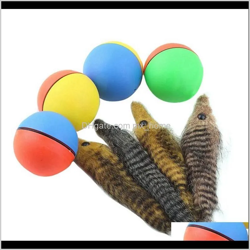 Toys Pet Supplies Home & Gardenpet Cat Dog Feather Teaser Electric Irregular Rotating Rolling Toy Weasel Activation Ball Kids Pets Funny Beav