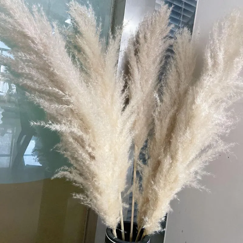 Decoratieve bloemen kransen 80 cm pampas gras groot super pluizig natuurlijk gedroogd boeket decor crème kleur bruiloft decoraties kerstcadeau