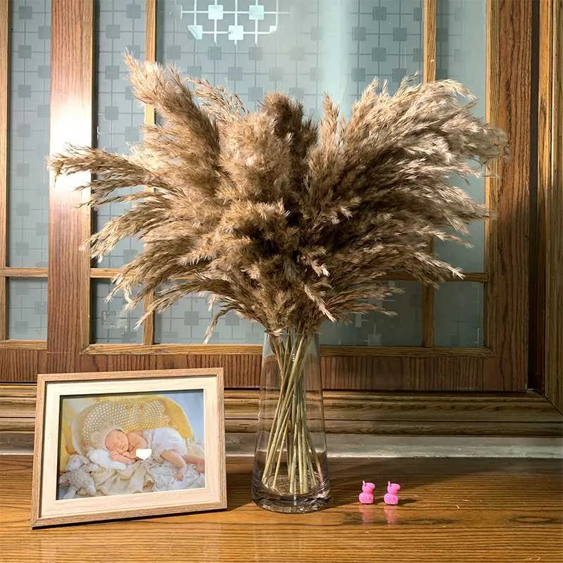 20 łodygi surowy kolor suszone pampas trawa bukiet ślubny kwiat wiązka rośliny naturalne home decor 210624
