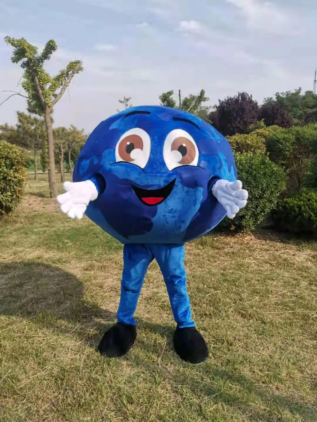 Costume della mascotte della Terra dell'immagine reale Vestito operato per la personalizzazione del supporto della festa di carnevale di Halloween