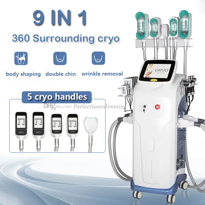 Machine de congélation des graisses par cryolipolyse verticale à 360 degrés cryothérapie 5 poignées avec menton