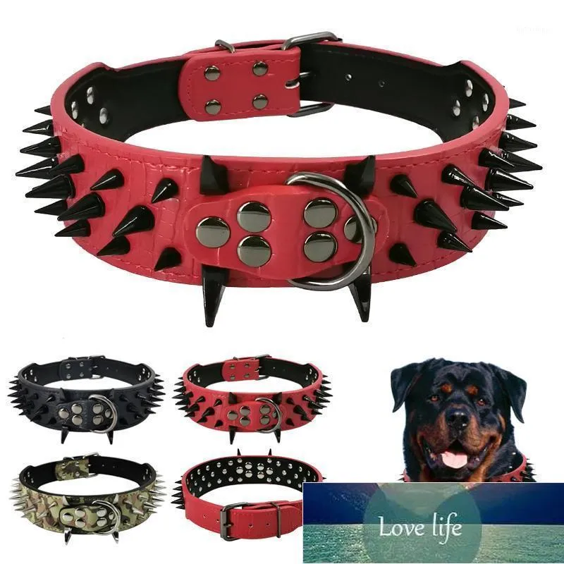 Stanglebige dicke Spiked Hundekragen Leder stilvolle weiche Nieten Haustierkragen Metallschnalle Passt mittelgroße Hunde1 Fabrikpreis Experte Design Qualität Neuester Stil