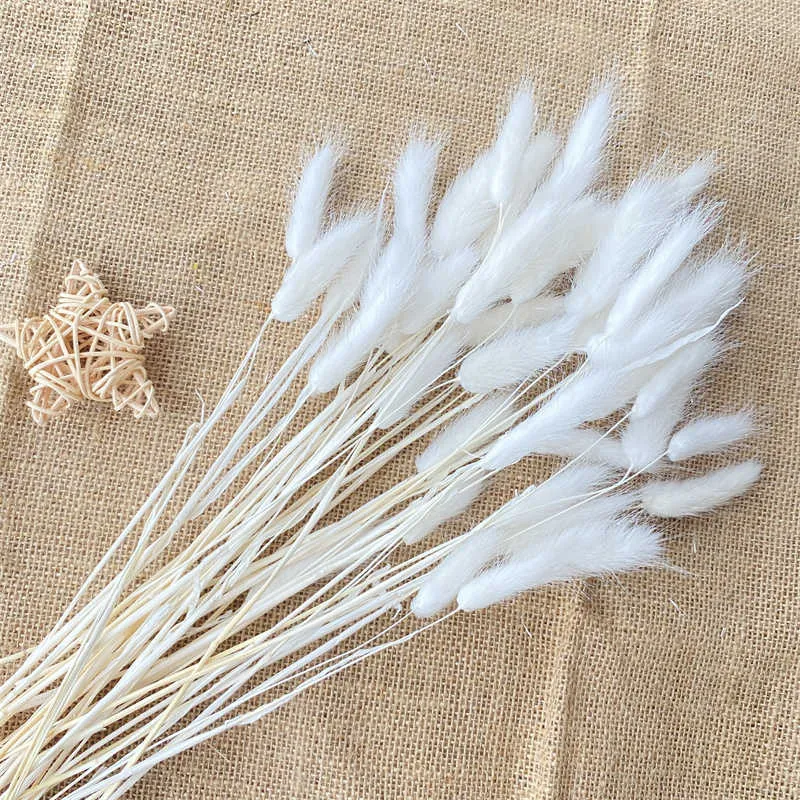 30pcs Pampas Herbe Fleurs Naturelles Séchées Queue De Lapin Herbe Maison Salon Decoracion Accessoires Blanc Et Or Mariage Décor Y0728