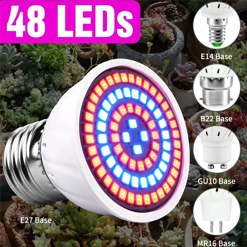 LED planta crescer luz E27 Fitolamp E14 Completo Spectrum 3W Mr16 Luzes de crescimento para Lâmpada Phyto Indoor Gu10 Bulbo B22