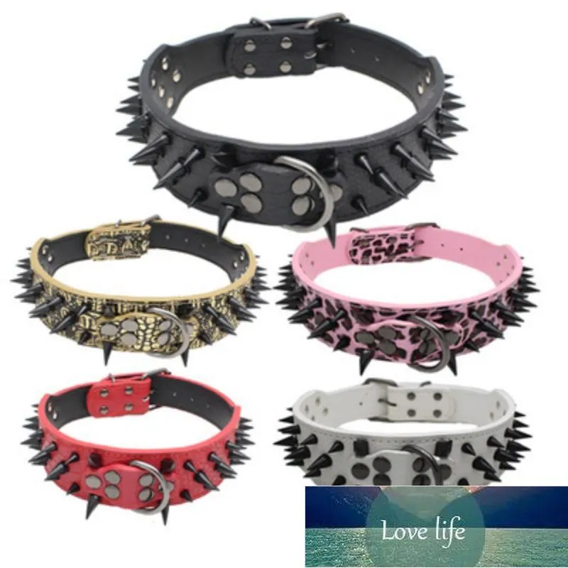 Dog Collar Leashes XS-L Läder Collar Anti-Bite Justerbara Puppy Studded Rivets Pet Dogs Neck Rem Tillbehör Fabrikspris Expert Design Kvalitet Senaste stil