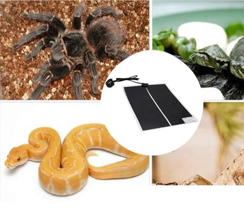 Versatile Reptile Heating Mat: Temperature Controlled Pad for