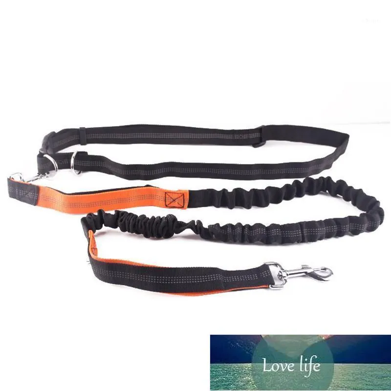 Colliers pour chiens Laisses Laisse en nylon de mode Courir et marcher La ceinture rétractable du chien pour les petits animaux de compagnie de taille moyenne Fournitures Accessoires avec 8 couleurs1 Conception experte des prix d'usine