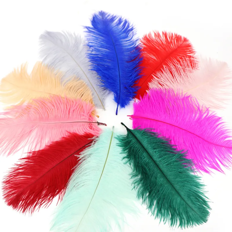 Страус перо шлейф красочные перья для ремесел костюм поставки столовые свадебные днеменные центры 12 цветов Выберите HH9-2119 ABUO 646 V2