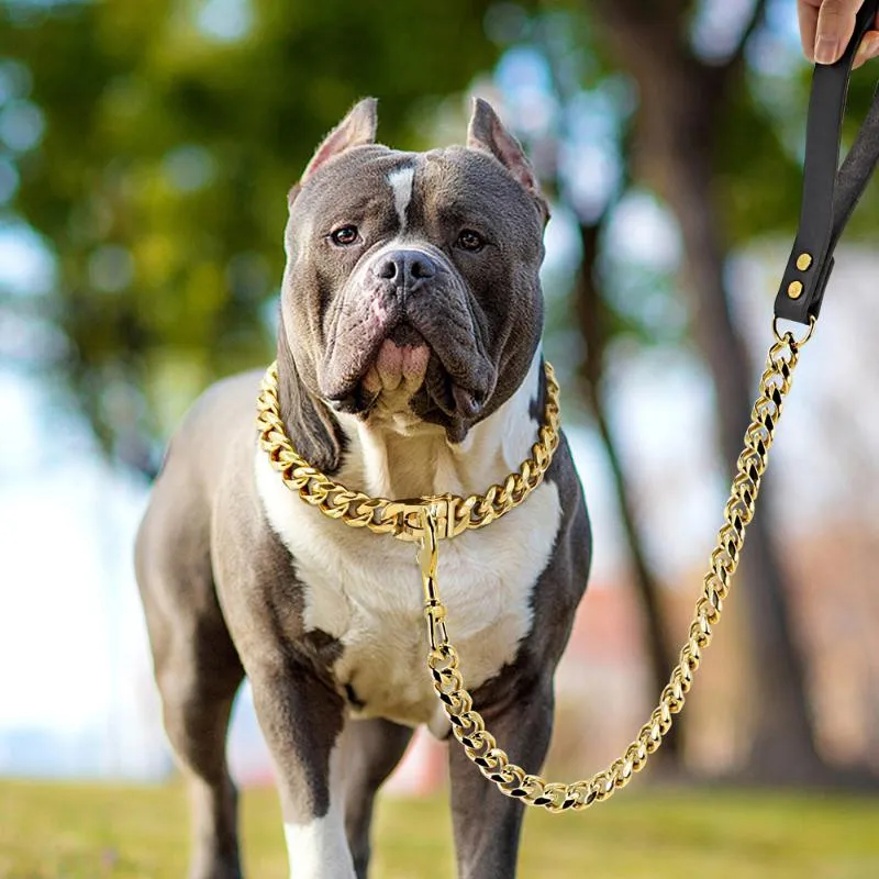 Dog Collars Leashes 304ステンレス鋼チェーンカラーとリーシュスーパーストロングメタルチョークシエゴールドペットリードロープのパーティーショー