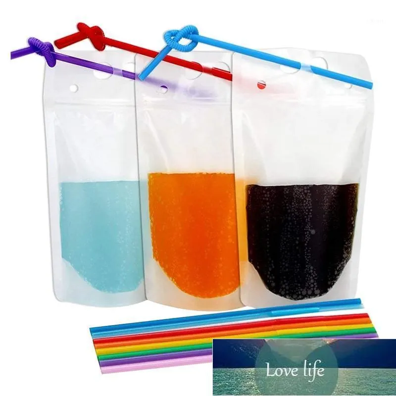 Sacs de rangement 100pcs 500 ml givré transparent stand-up sans motif boisson café emballage sac refermable fermeture à glissière sac1 prix d'usine conception experte qualité