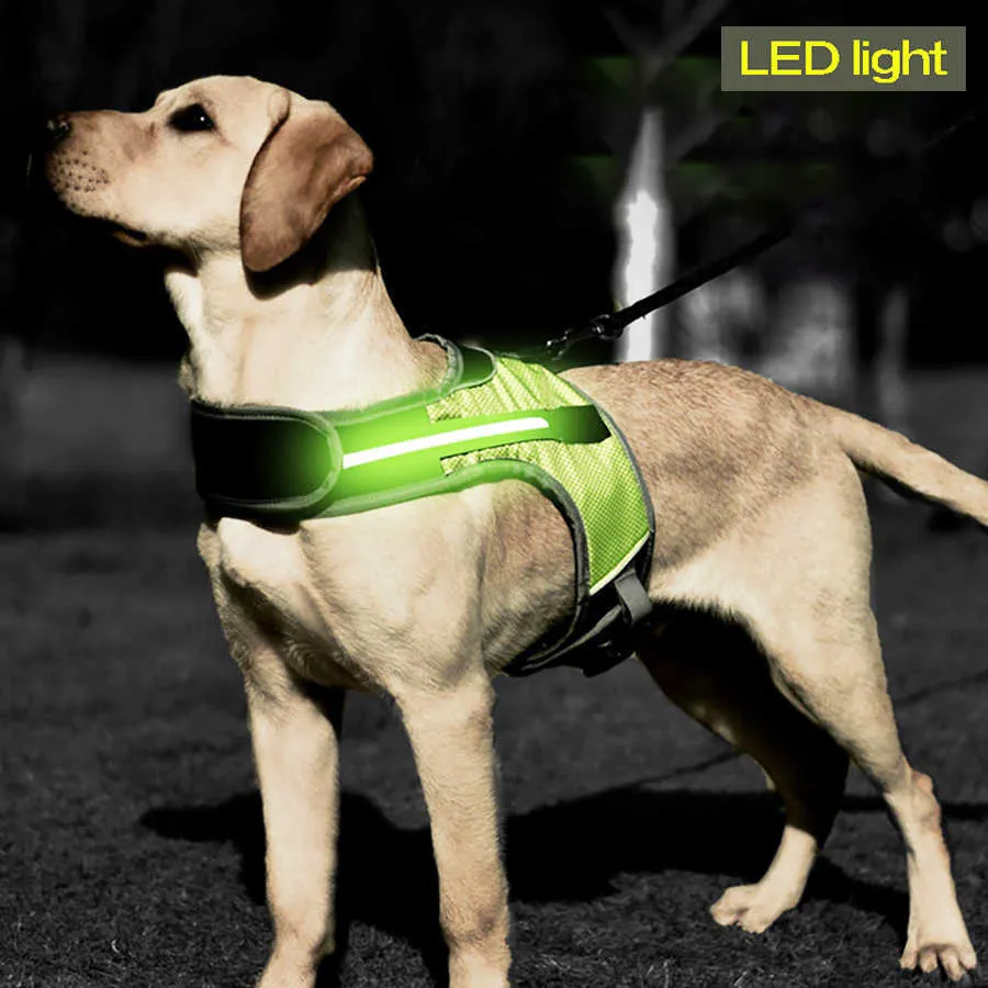 Led Luminous Dog Harness Light Up Cachorrinha Strap Colete Pet Segurança Reflexivo Arnês Collar Pet Colete para Pastor Husky Labrador 210712