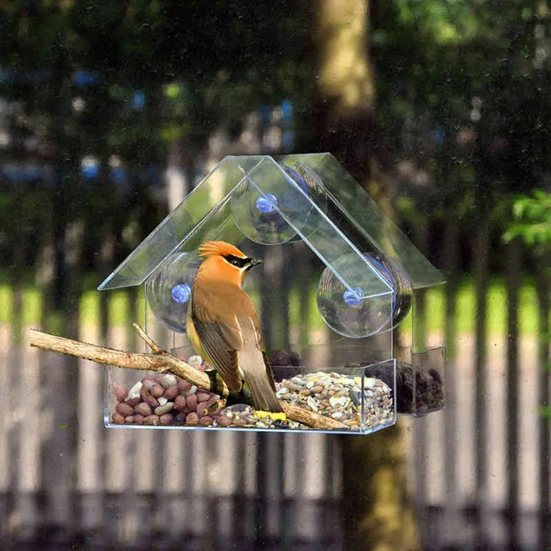 Acrílico janela transparente vista s bandeja birdhouse ventosa copo mount casa alimentador alimentador de animais de estimação