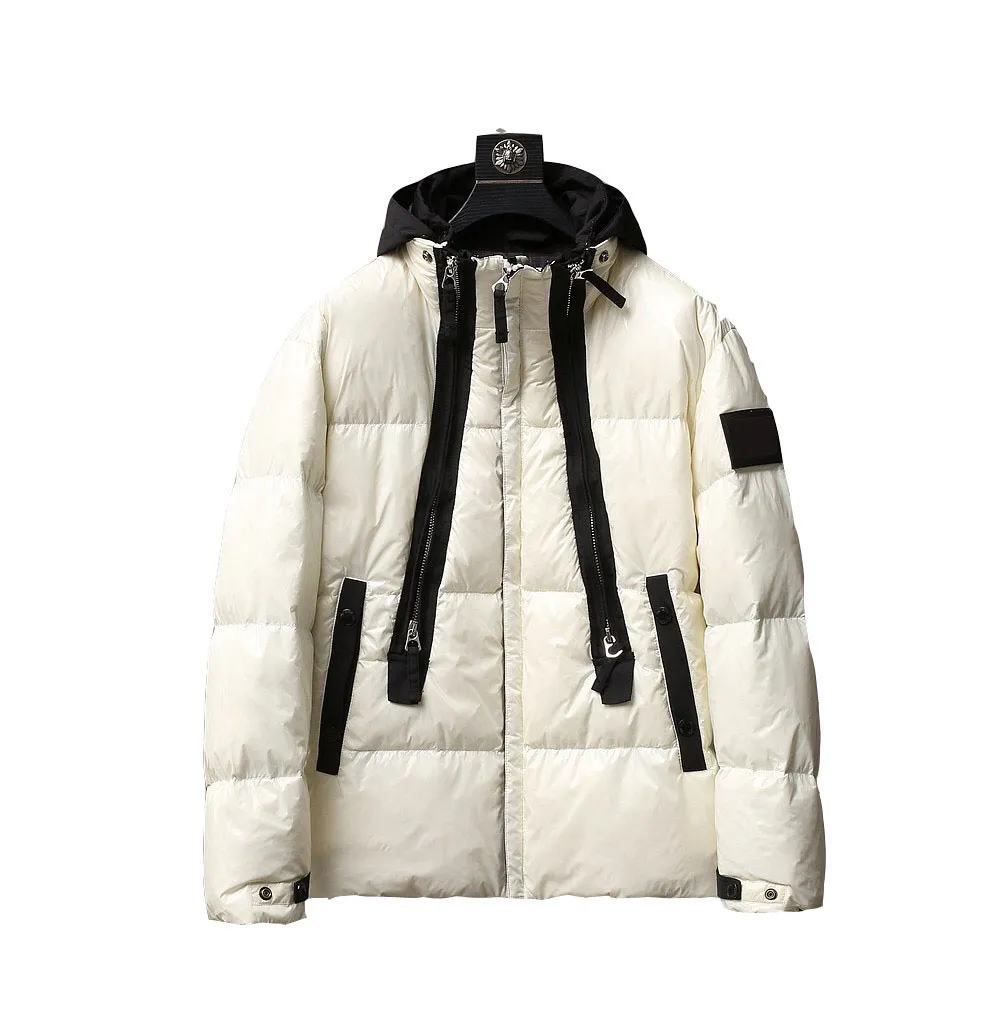 DHgate British Style Down Jacket for Men North Nylon Shiny Foldable Hat Stand Collar Winter Jackets Men Clothing Windproof M 3XL Apparel