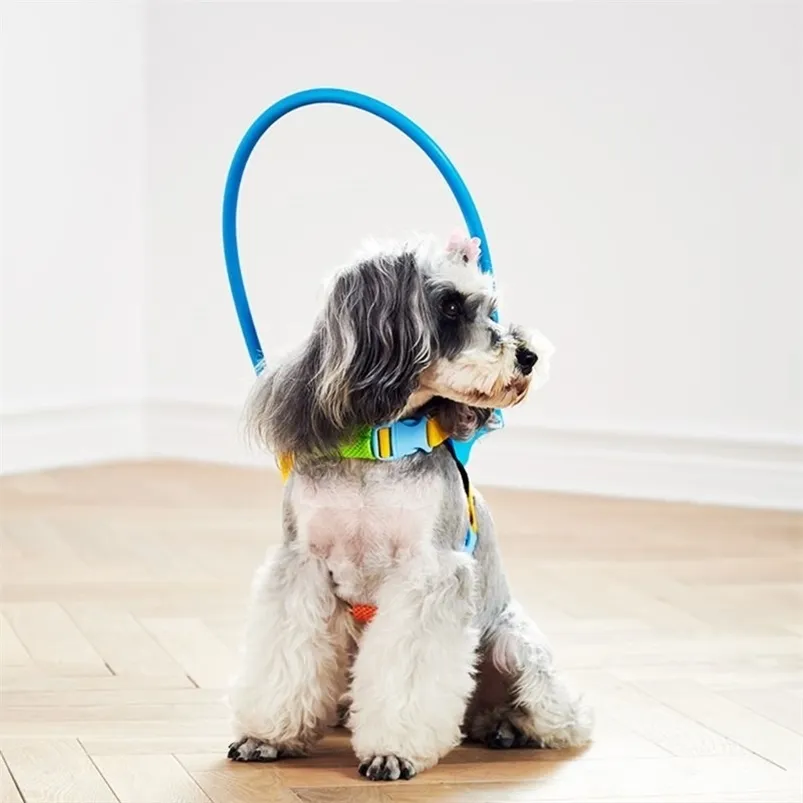 Blind Dogs Pet Safe Harness Anti-collision Ring Pets Weak Color Guide Circle Animal Protection Collar Rings 210729