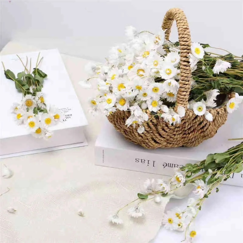 Cadeaux pour femmes fleurs naturelles fraîches séchées conservées Rhodanthe manglesii, bouquets de fleurs cadeau pour la décoration de mariage, décoration de la maison