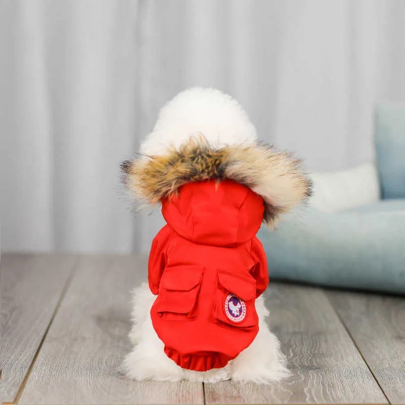 Canada goose dog jacket red sale