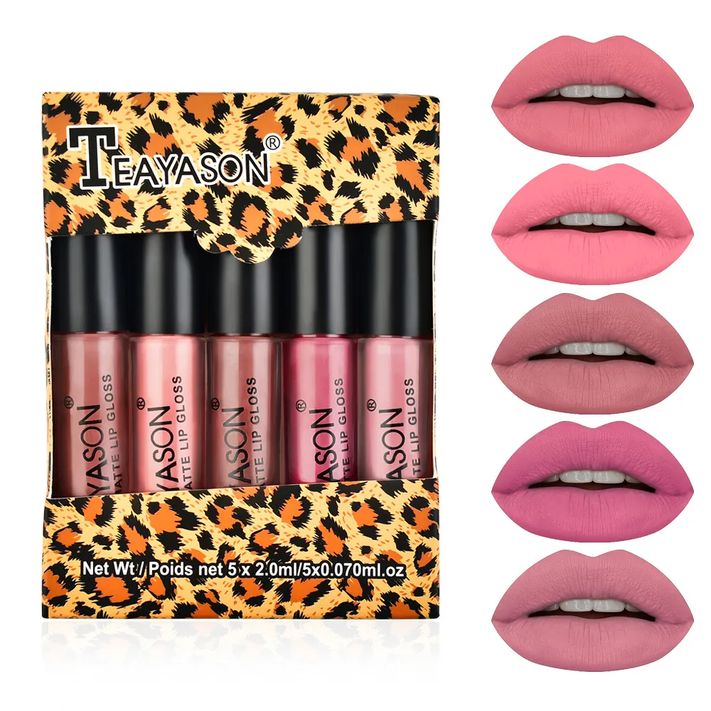 Teamason 5 stks Naakt Matte Vloeistof Lippenstift Set Sexy Rood Fluwelen Lip Gloss Waterdichte Langdurige Makeup Lippen Tint Cosmetische Schoonheid