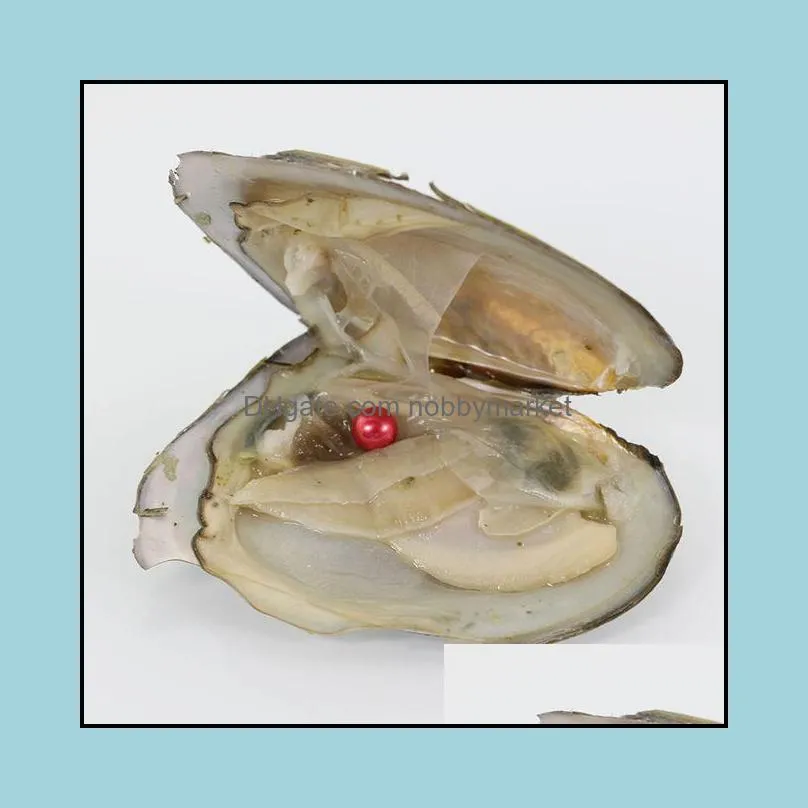 2020 new Akoya High quality cheap love freshwater shell pearl oyster 6-7mm red gray light blue pearl oyster with vacuum packaging