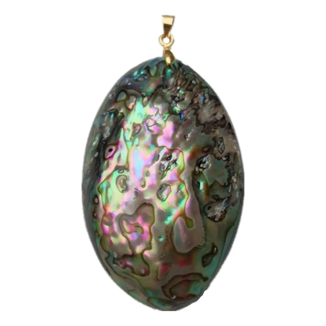 Pendentif en coquille d'ormeau Paua véritable, forme libre, avec métal doré, bijoux pour femmes et hommes, 5 pièces