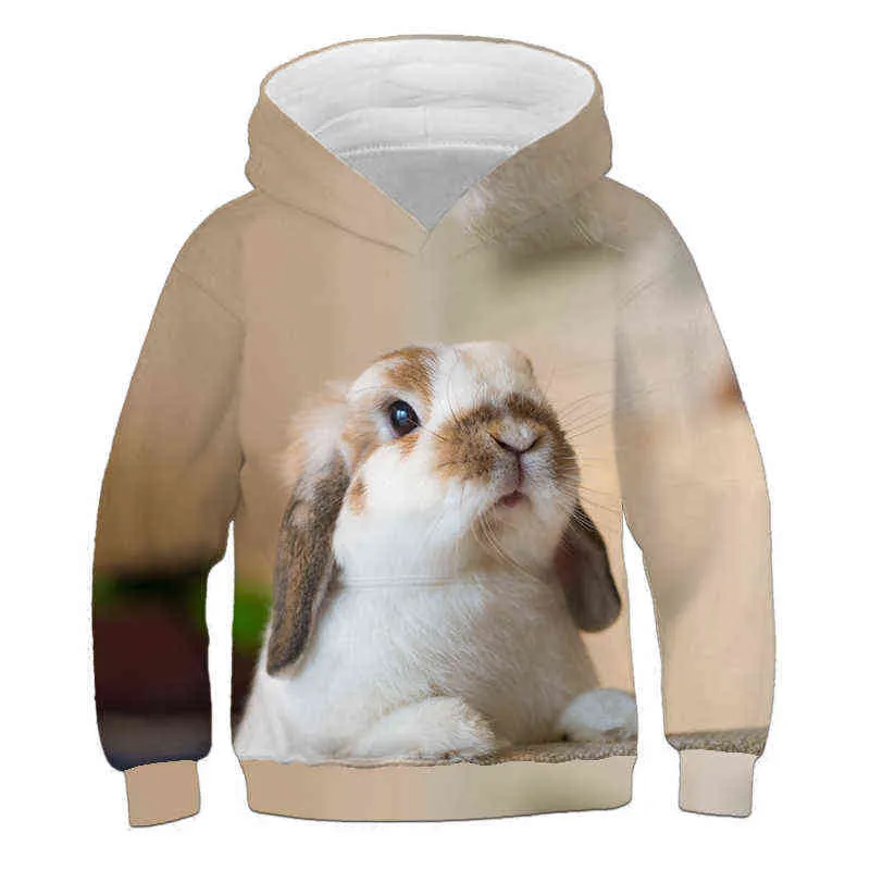 Fall / Winter 2021 Nieuwe Harajuku Rabbit Hoodie Casual Lange Pullover Trend Printing 3D Trui Sweatshirt Losse Kinderen 4-14T G1028