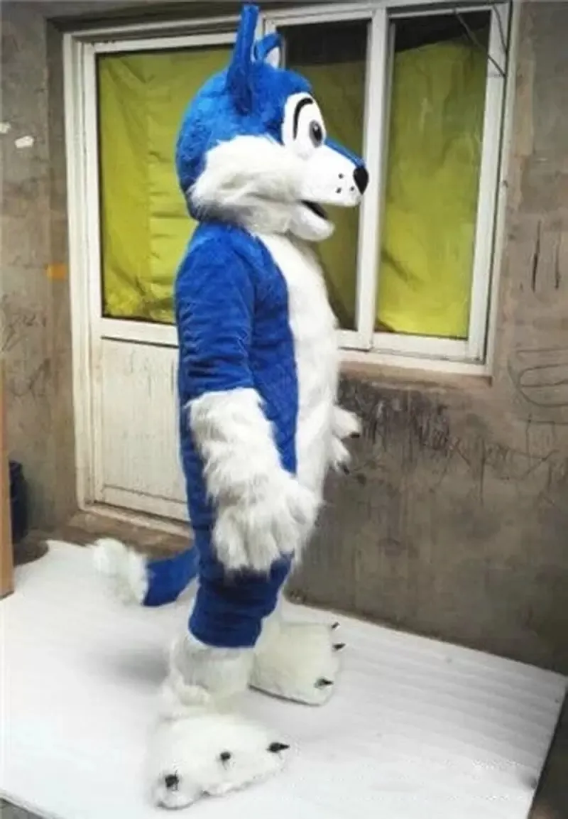 Lång päls blå husky hund maskot kostym tecknad tema karaktär karneval festival fancy klänning jul vuxna storlek födelsedagsfest utomhus outfit
