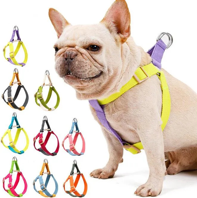 Pet Leashing Rainbow Hauling Cable Bröstband Dog Harness Vest Leads Traction Belt Dogs Rope Training leverantörer wmq939