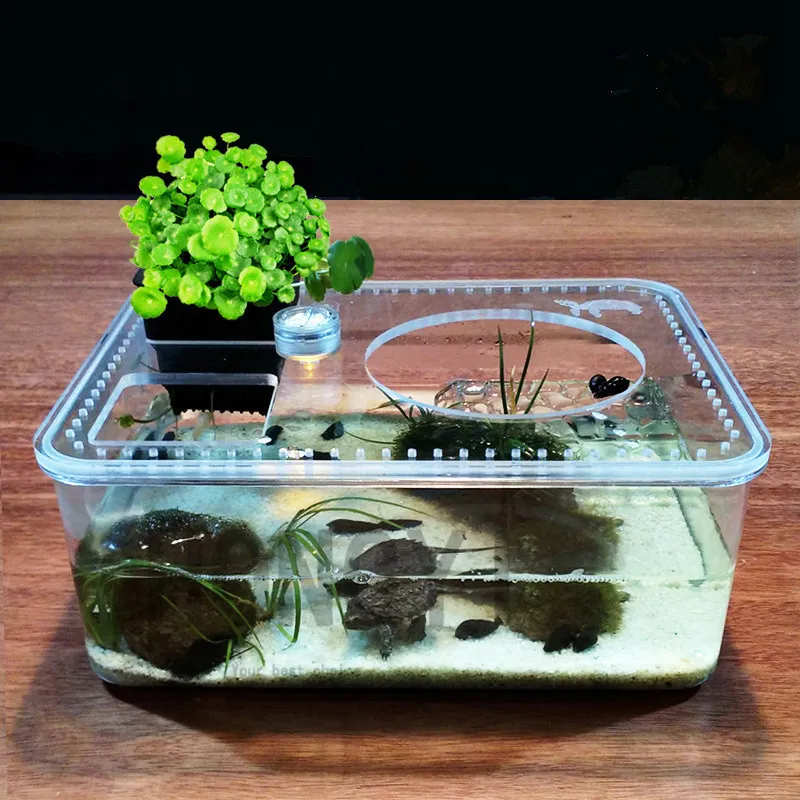 HONGYI 1 piece plastic transparent insect reptile breeding feeding box large capacity aquarium habitat tub turtle tank platform