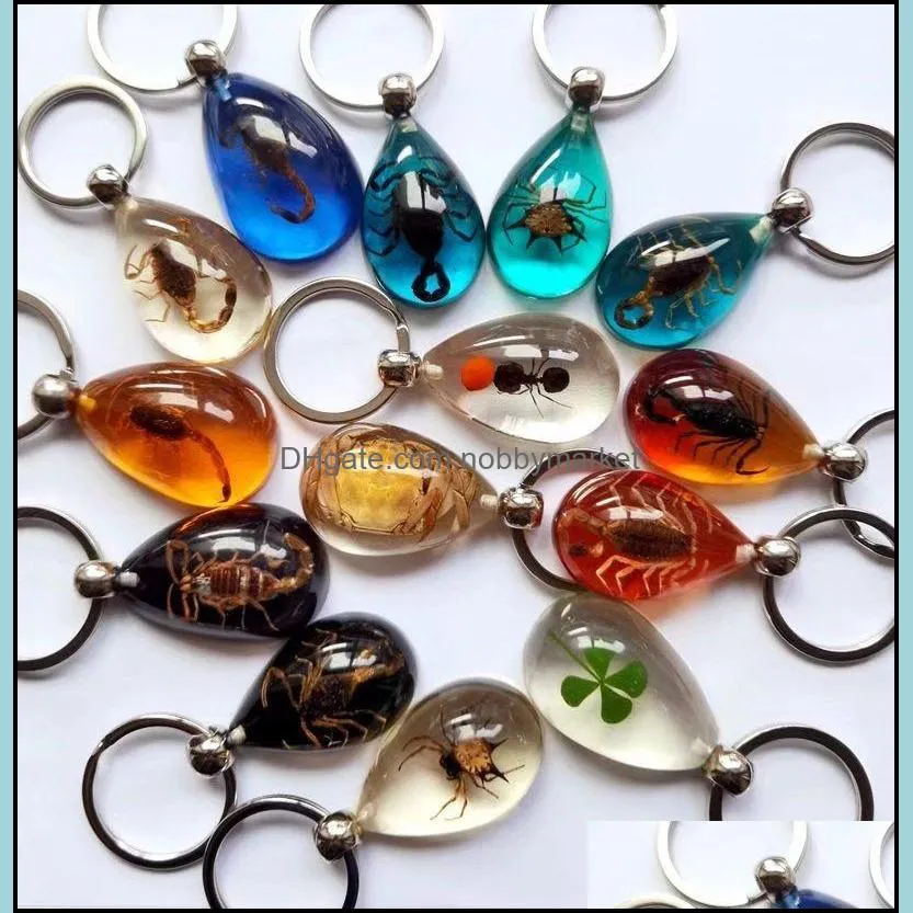 15 pcs real scorpion spider crab ant four leaf clover drop shaped amber resin keychain taxidermy oddity insect encased